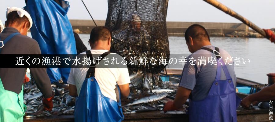 近くの漁港で水揚げされる新鮮な海の幸を満喫ください