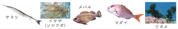春
