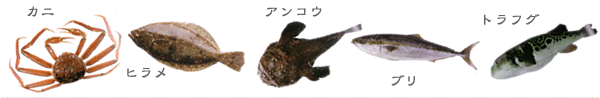 冬